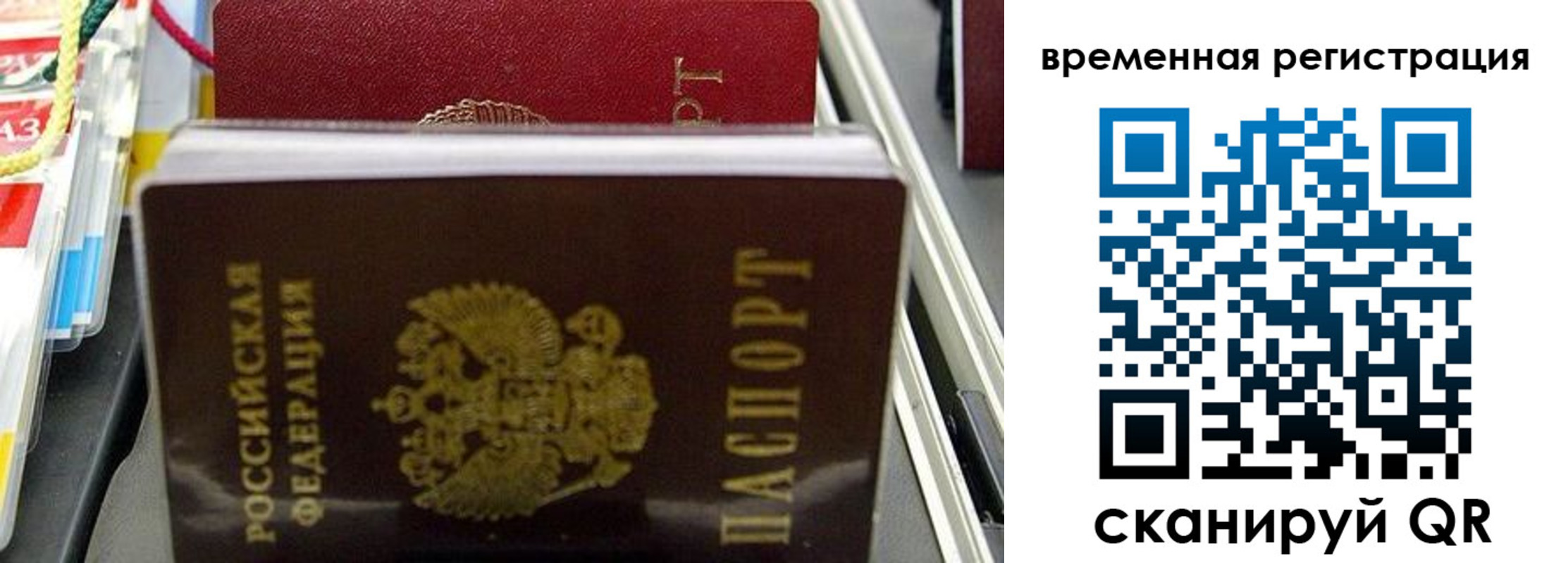 прописка законно в Каргополе
